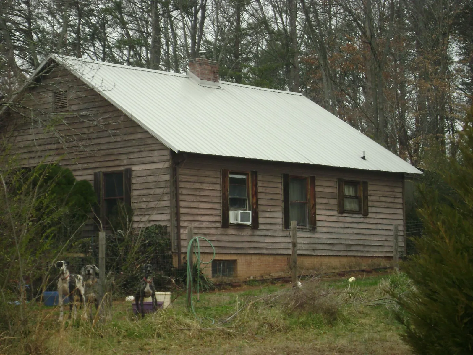 White metal roof on an old wood sided farmhouse, from a Asphalt Shingle Roof Repair job in Island Lake